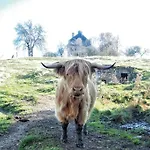 The Old Barn Luksusowa Stodola Z Calorocznym Jacuzzi Kominkiem I Widokiem Na Wzgorza I Dla 8-10 Osob Na Dolnym Slasku Min 2 Noce * Ploczki Gorne