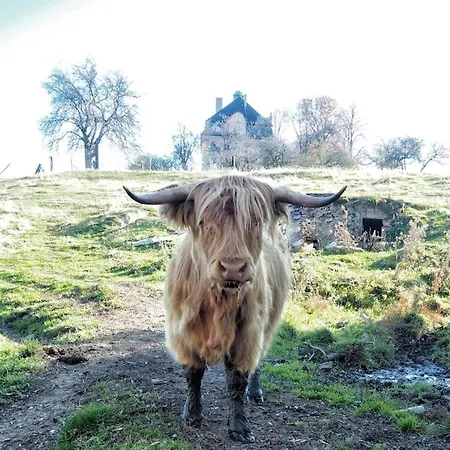 The Old Barn Luksusowa Stodola Z Calorocznym Jacuzzi Kominkiem I Widokiem Na Wzgorza I Dla 8-10 Osob Na Dolnym Slasku Min 2 Noce * Ploczki Gorne