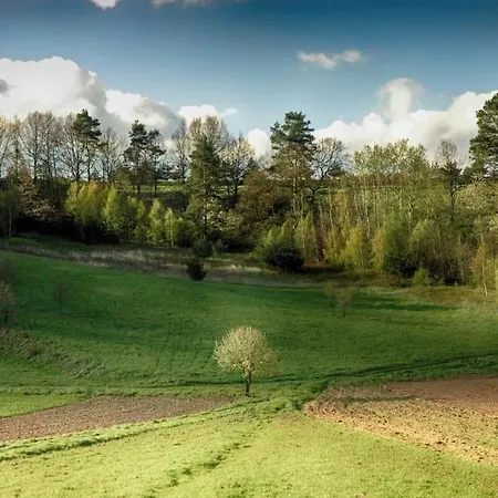 The Old Barn Zimowy Hit Jacuzzi Piecyk Dom Dla 8-10 Osob, Min 2 Noce