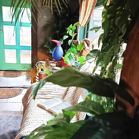 The Old Barn Zimowy Hit Jacuzzi Piecyk Dom Dla 8-10 Osob, Min 2 Noce Ploczki Gorne