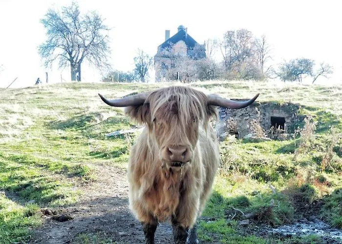 The Old Barn Luksusowa Stodola Z Calorocznym Jacuzzi Kominkiem I Widokiem Na Wzgorza I Las Dla 8-10 Osob Na Dolnym Slasku Min 2 Noce * Ploczki Gorne