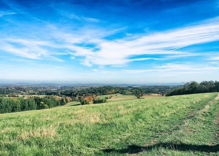 아파트 The Old Barn Luksusowa Stodola Z Calorocznym Jacuzzi Kominkiem I Widokiem Na Wzgorza I Las Dla 8-10 Osob Na Dolnym Slasku Min 2 Noce Ploczki Gorne