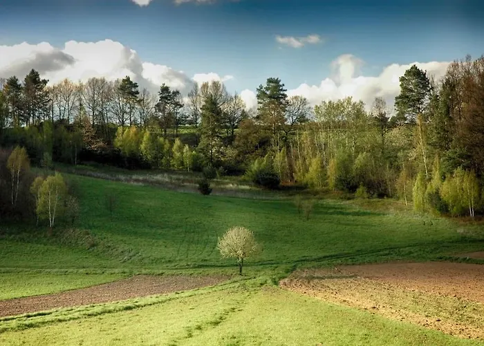 The Old Barn Luksusowa Stodola Z Calorocznym Jacuzzi Kominkiem I Widokiem Na Wzgorza I Las Dla 8-10 Osob Na Dolnym Slasku Min 2 Noce