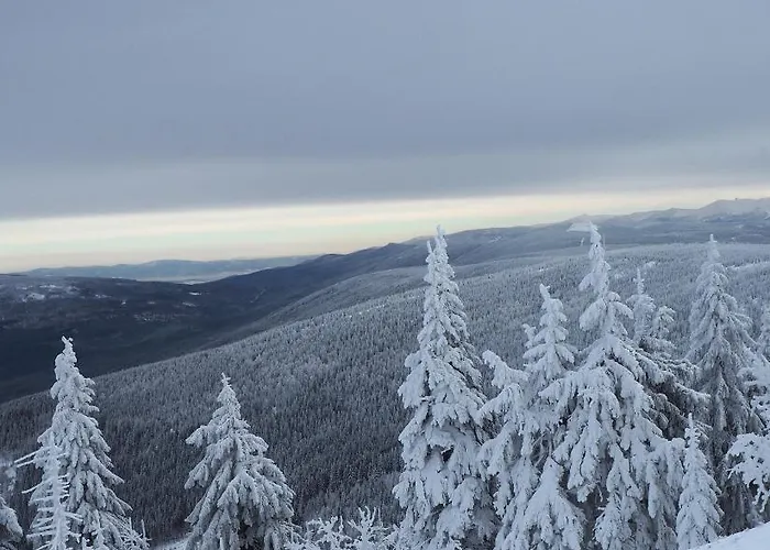The Old Barn Luksusowa Stodola Z Calorocznym Jacuzzi Kominkiem I Widokiem Na Wzgorza I Las Dla 8-10 Osob Na Dolnym Slasku Min 2 Noce